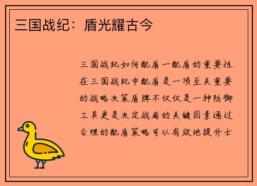 三国战纪：盾光耀古今